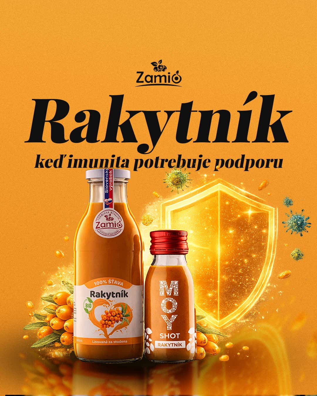 Rakytník: podpora imunity v sezóne chorôb.